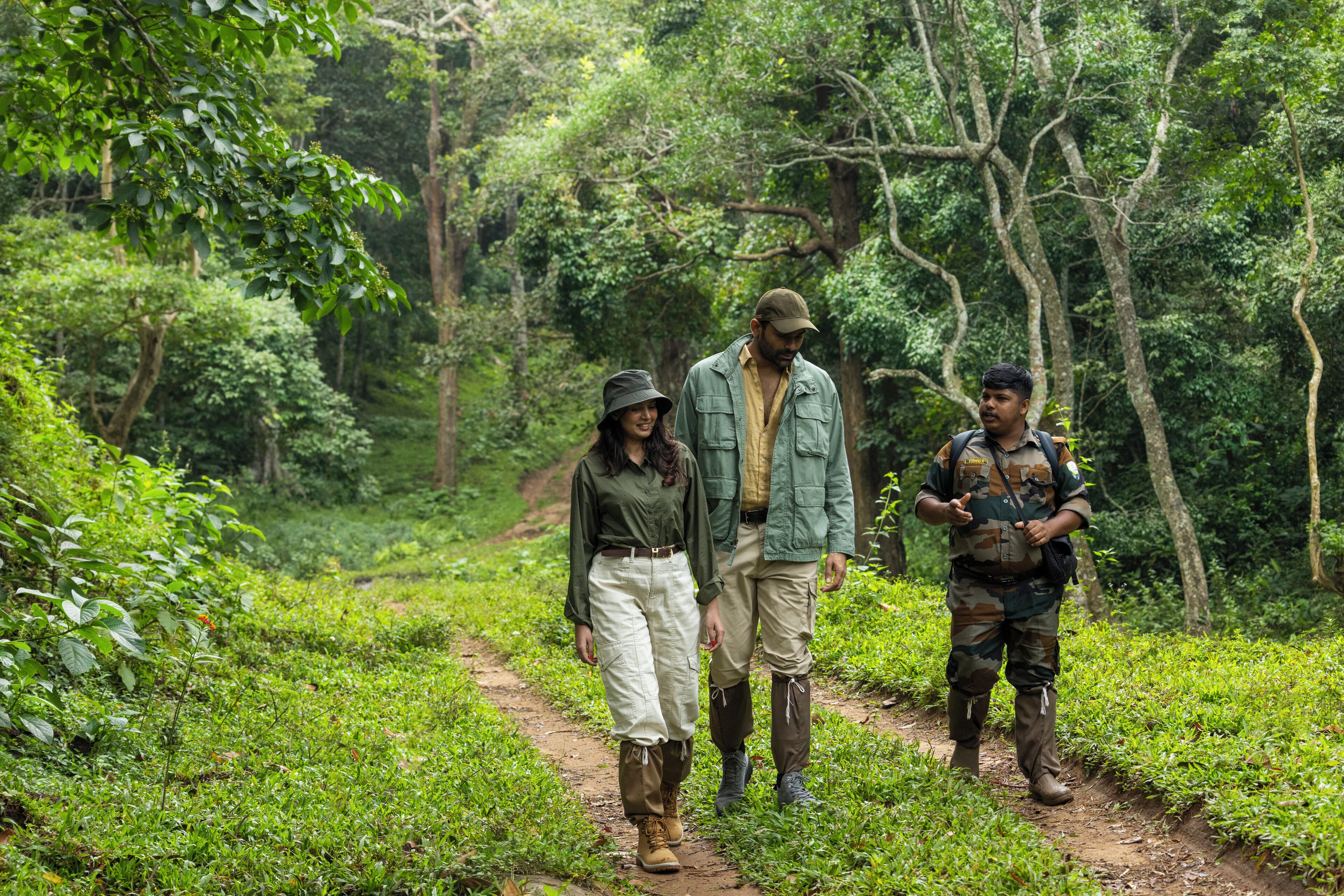 Three people walking on a forest path.
