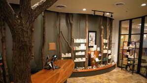 A reception desk with a wooden counter, surrounded by artificial tree trunks, and a display of products on shelves.