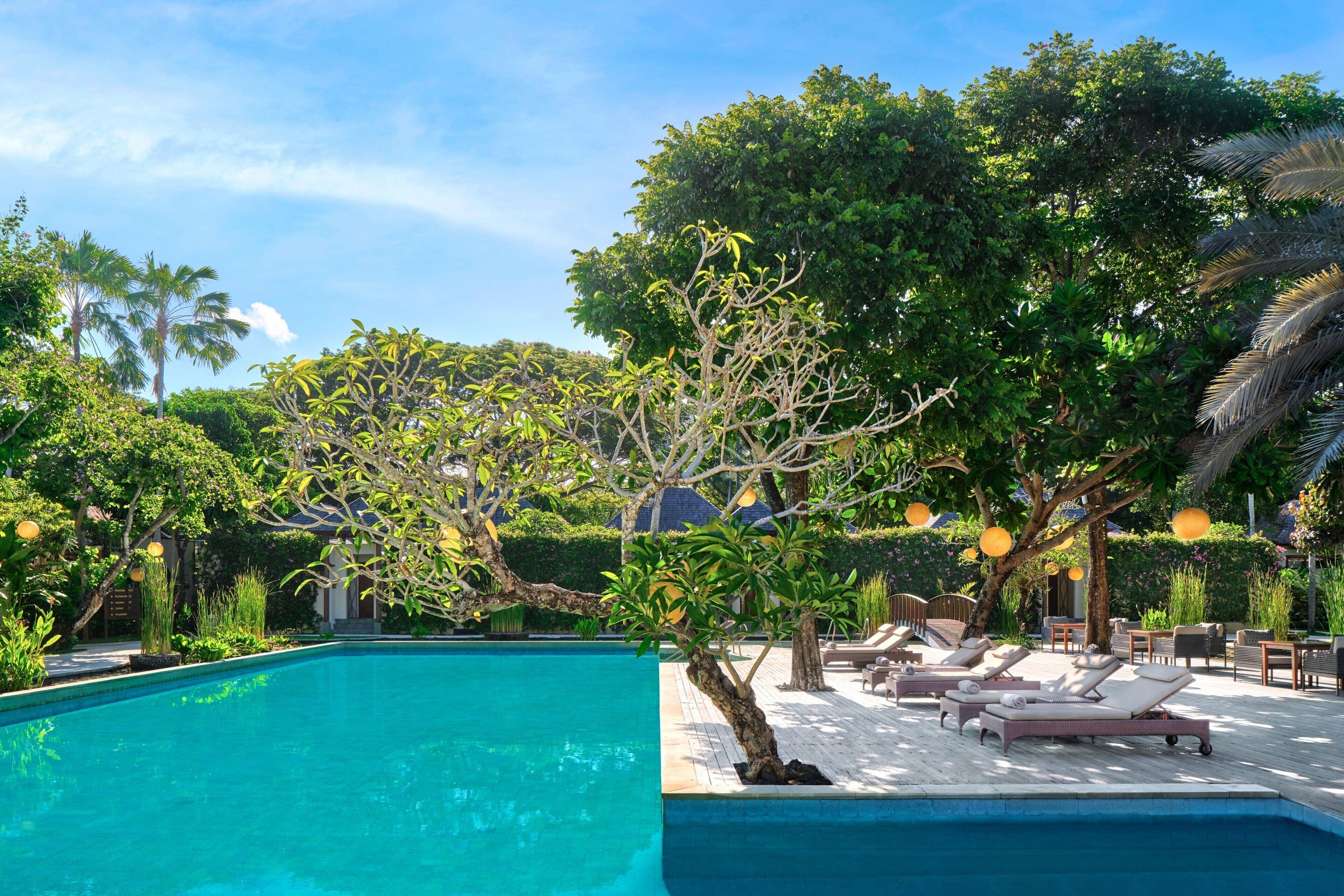Ein Swimmingpool mit Liegestühlen und einem Baum in der Mitte.