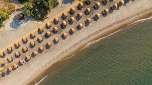 Luchtbeeld van een strand met rijen rieten parasols en een zandpad.