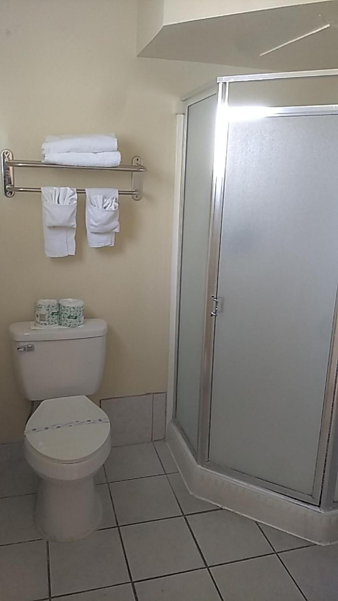 Une salle de bain équipée de toilettes, d’une douche et d’un porte-serviettes avec des serviettes.