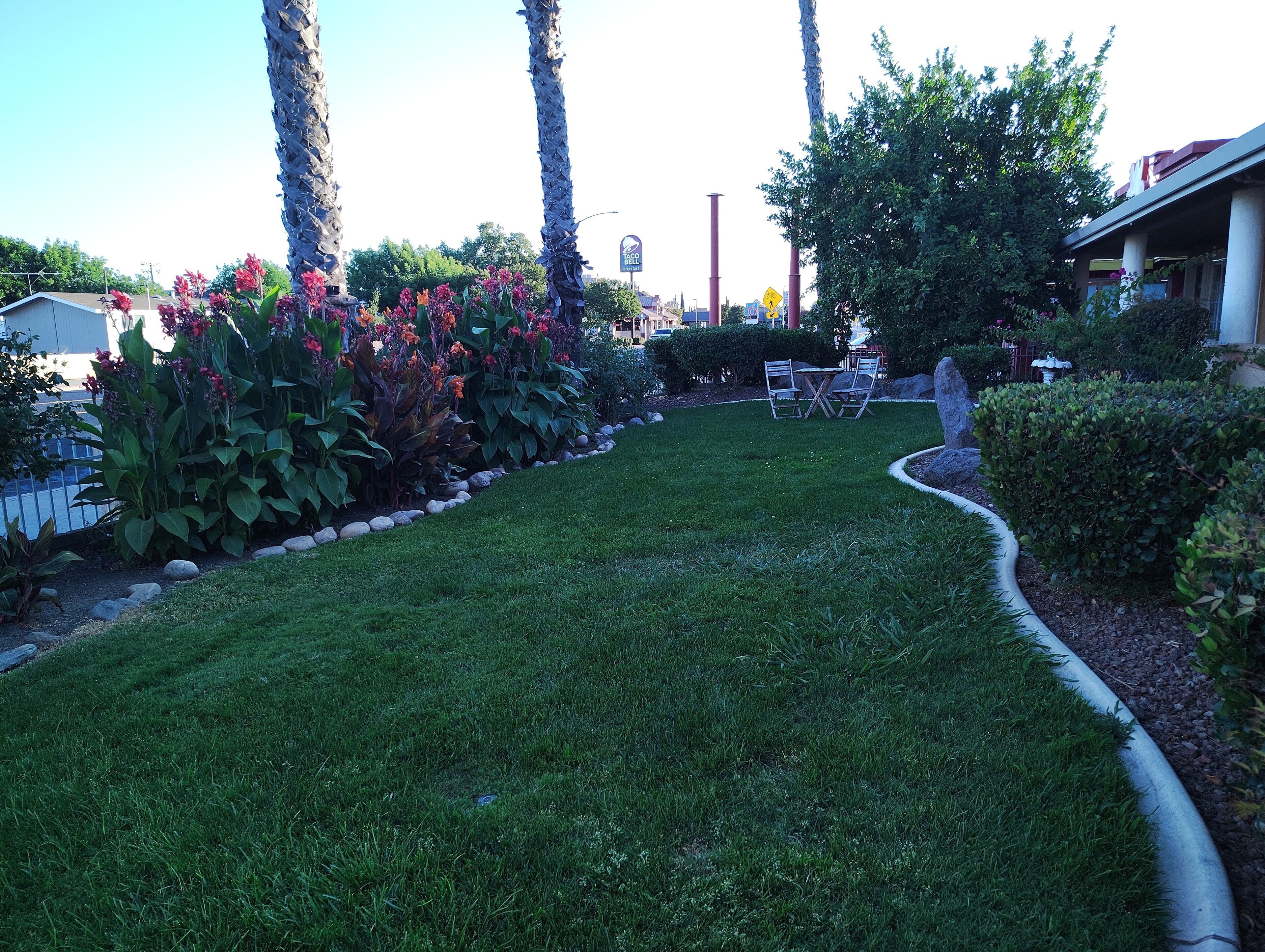 A well-maintained lawn with a small seating area and a variety of plants.