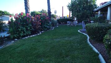 A well-maintained lawn with a small seating area and a variety of plants.