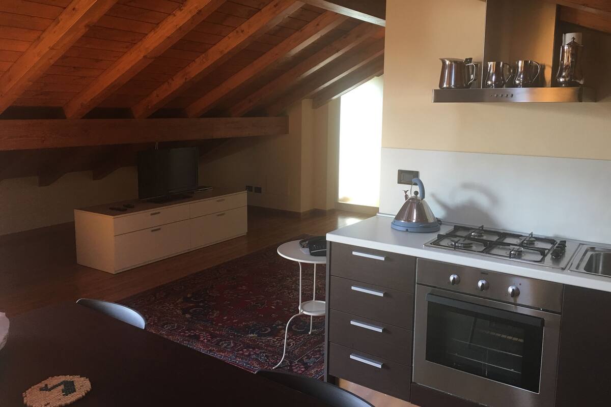 A compact kitchen with a stove, oven, and kettle, a television, and a small dining area with a rug.