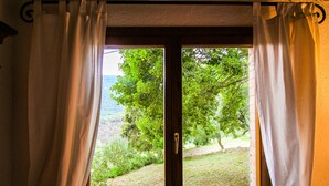 A window with white curtains, a wooden frame, and a view of a green landscape with trees and a hill. - Boschi di Montecalvi (Suvereto)