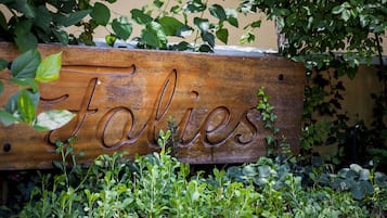 A wooden sign with the name 'Falies' surrounded by greenery.