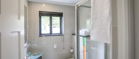 A modern bathroom with a glass shower enclosure, a white sink, and a toilet.