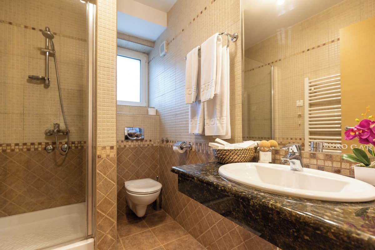 standard double room, 1 double bed | bathroom | shower, rainfall showerhead, free toiletries, hair dryer