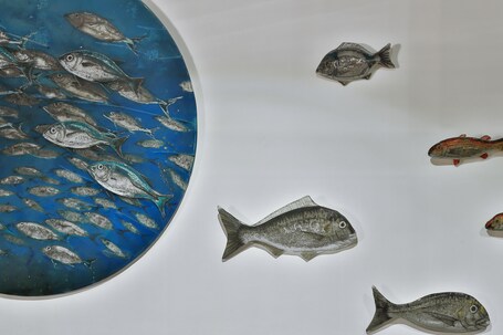 Senatus Hotel Special Class - Image 36
