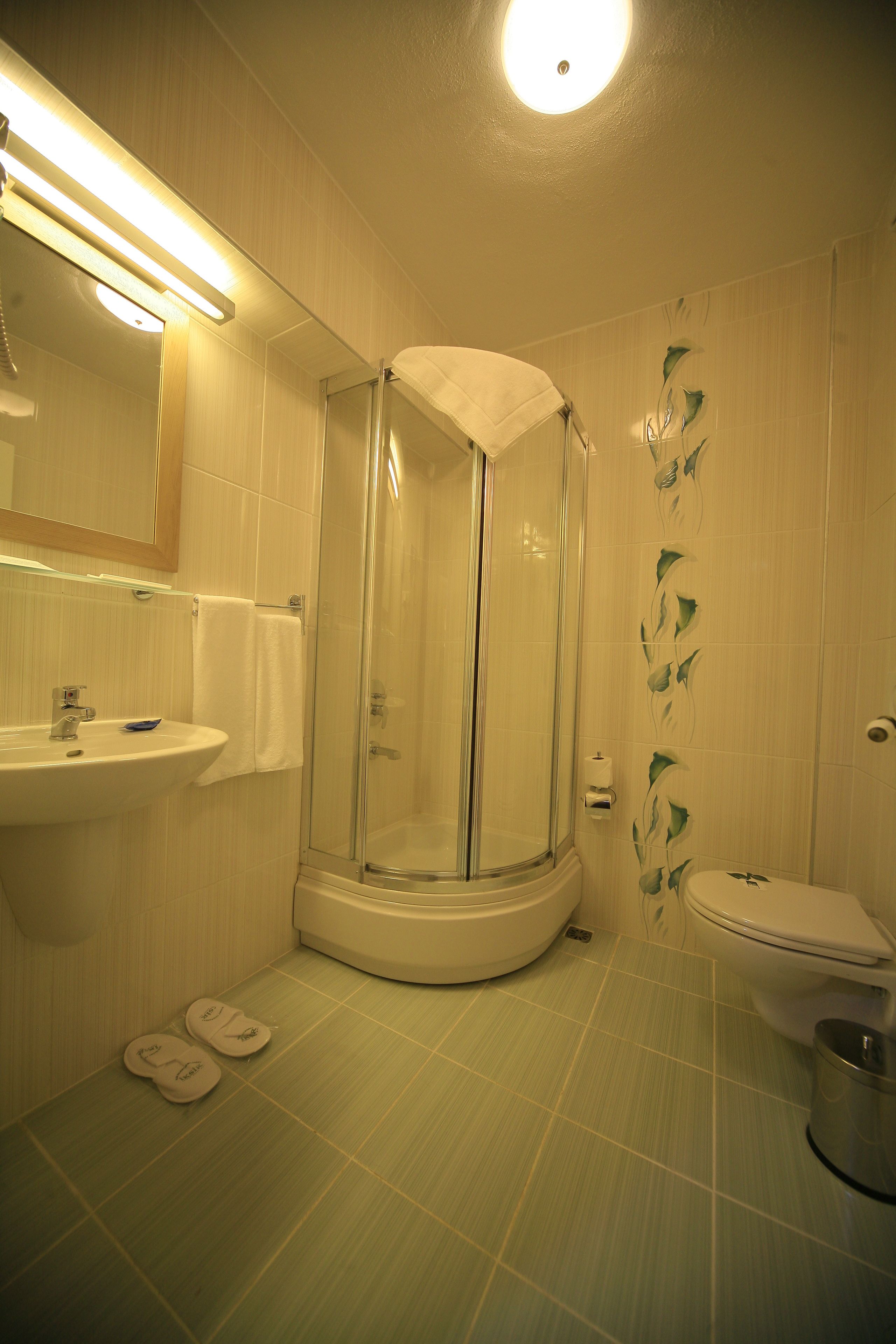 A bathroom with a glass-enclosed shower, a sink, and a toilet.
