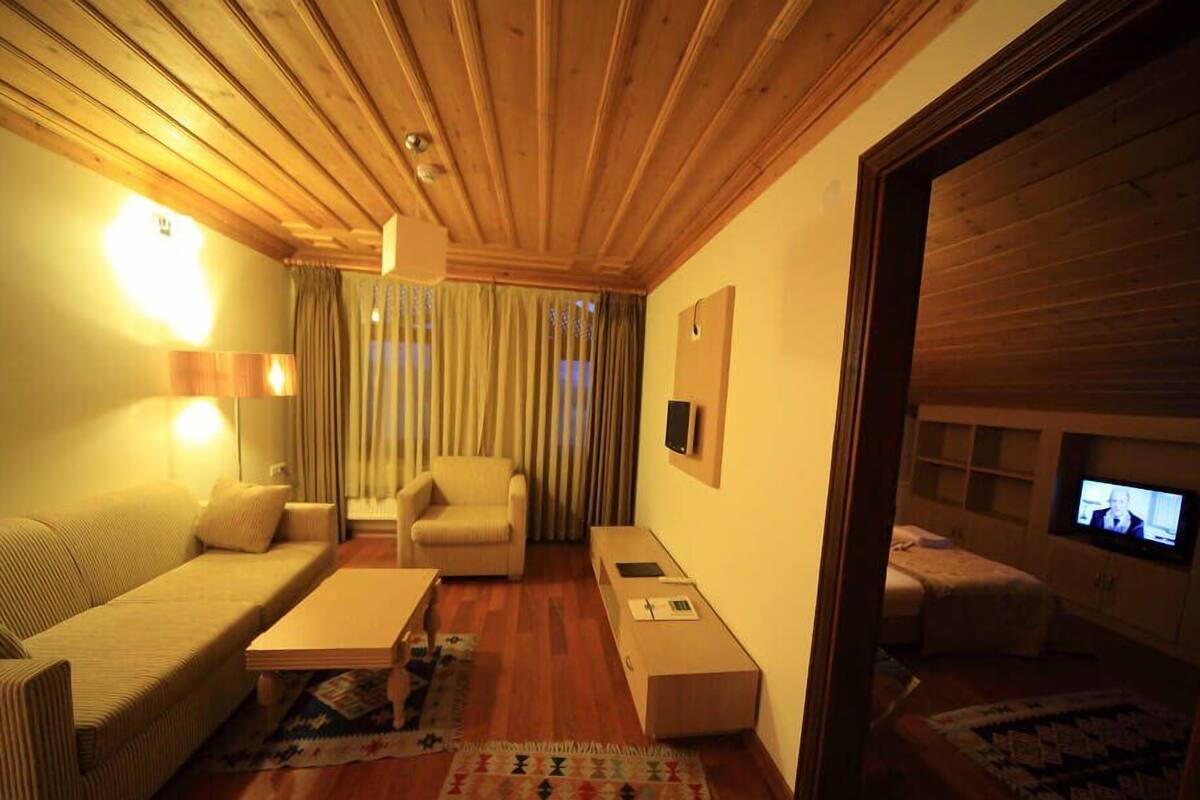 A cozy room with a wooden ceiling, a sofa, a chair, a small table, and a television.