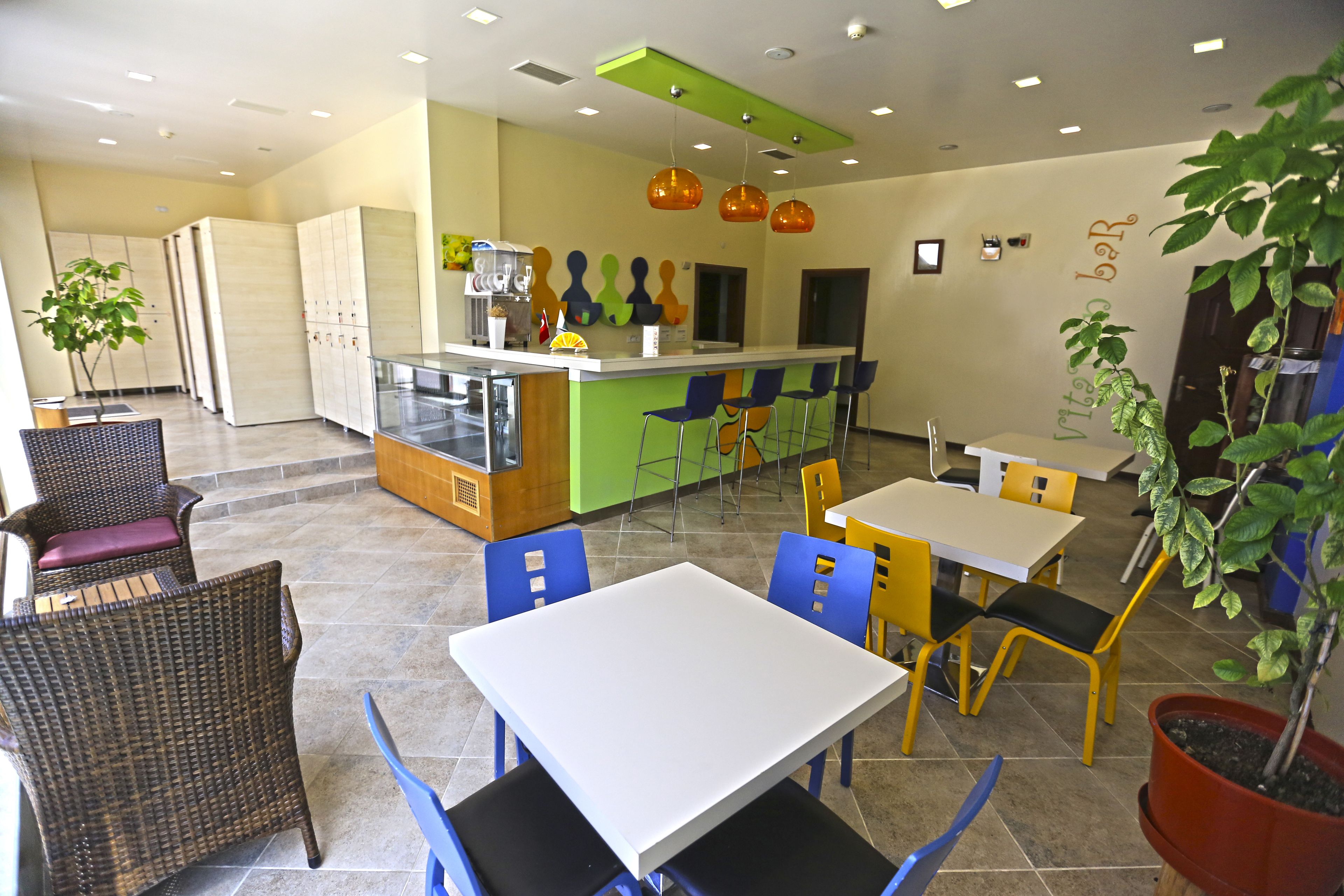 Un café moderno con una zona de bar, diferentes disposiciones de asientos y plantas en macetas.