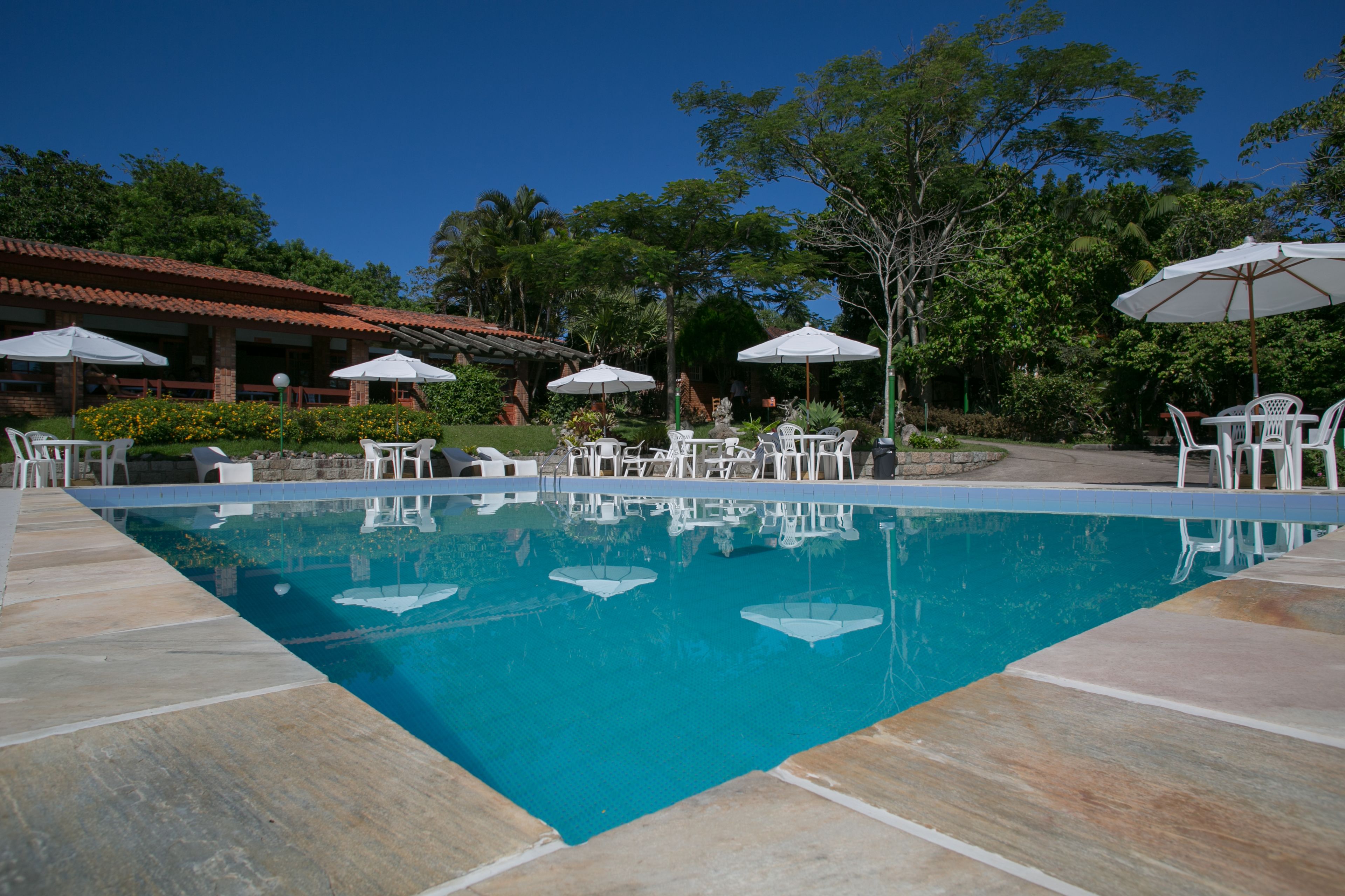 A swimming pool with white chairs and umbrellas, surrounded by greenery and a building with a tiled roof.