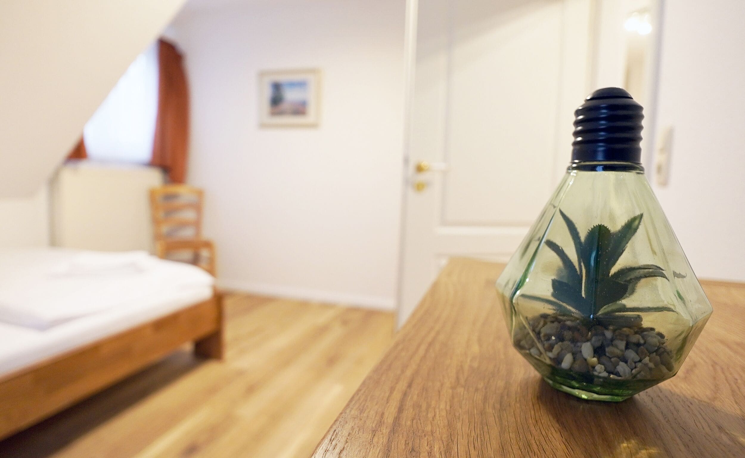 Foto - Hotel Waldhalle