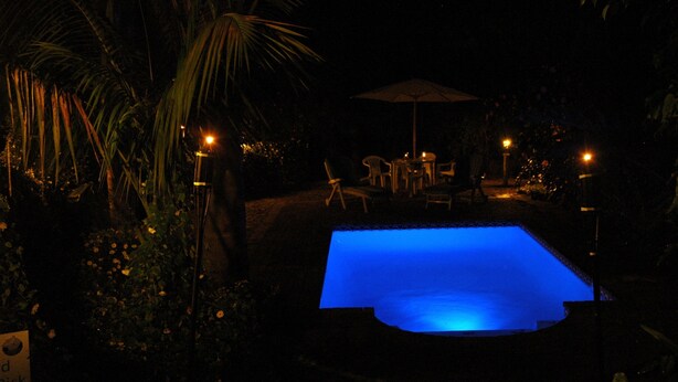 A nighttime swimming pool with a blue hue, surrounded by palm trees and outdoor furniture.