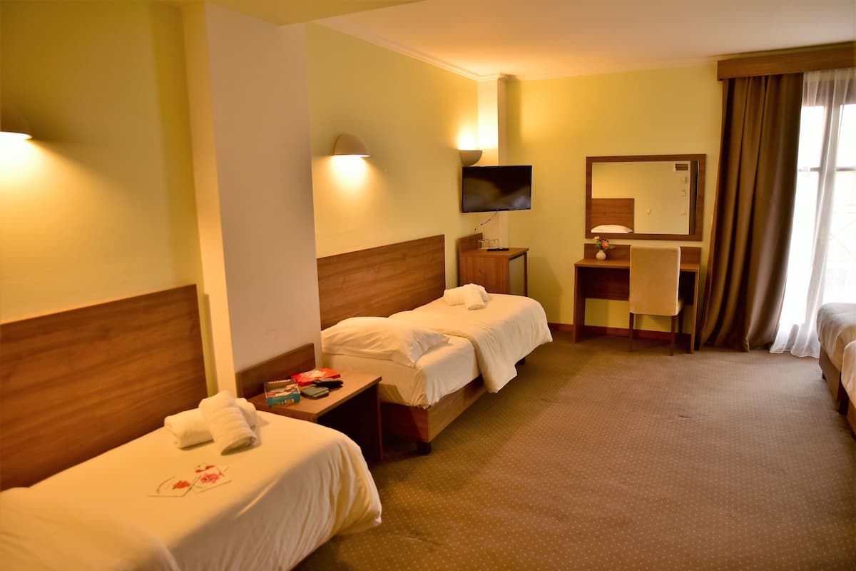 A hotel room with two single beds, a desk with a chair, a TV, and a large mirror.