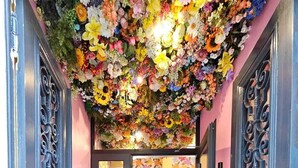 Een gang met een bloemendecor in het plafond, een geruit vloertje en zwarte, versierde deuren.