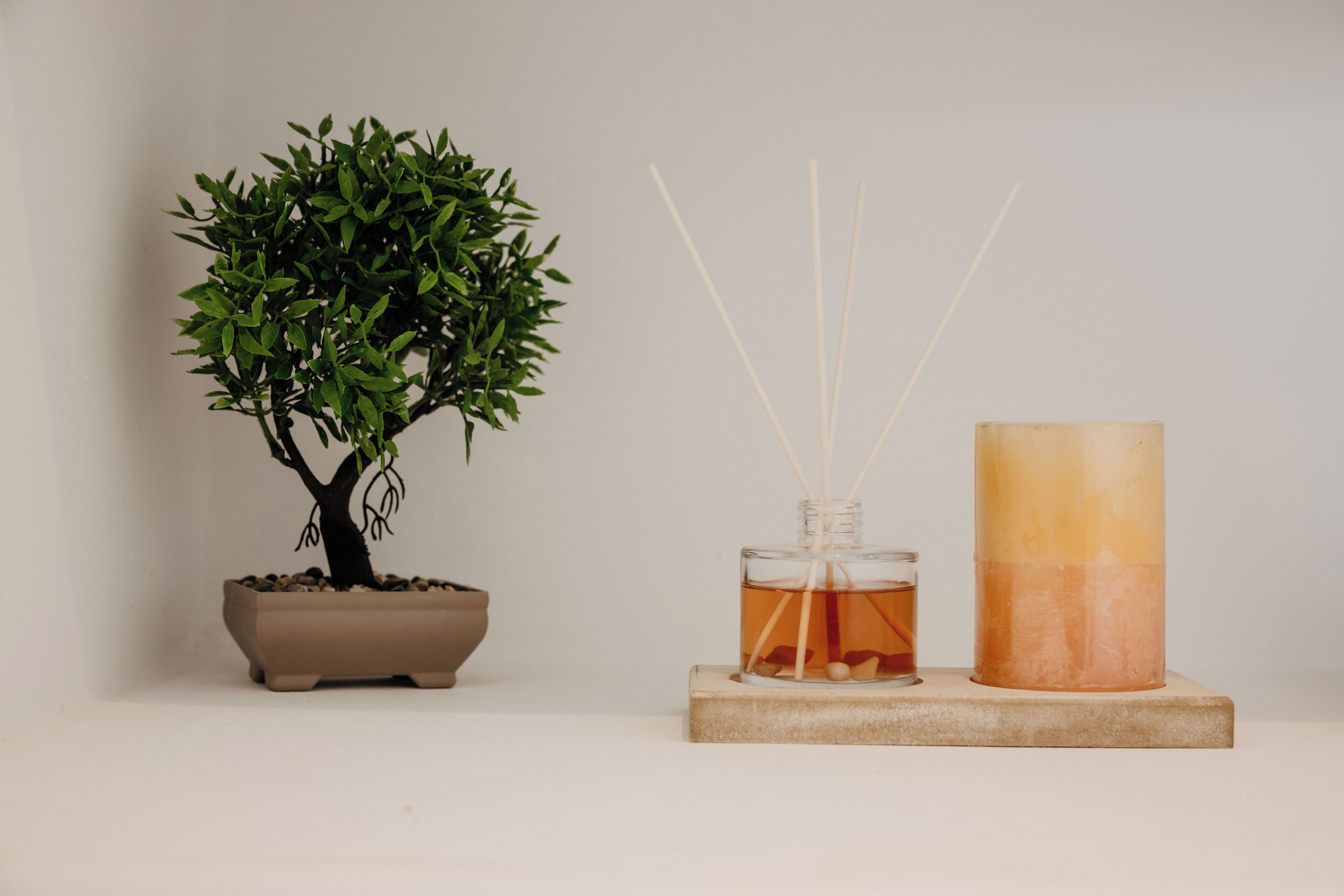 A potted bonsai tree, a glass bottle with reed sticks, and a cylindrical candle on a wooden block.