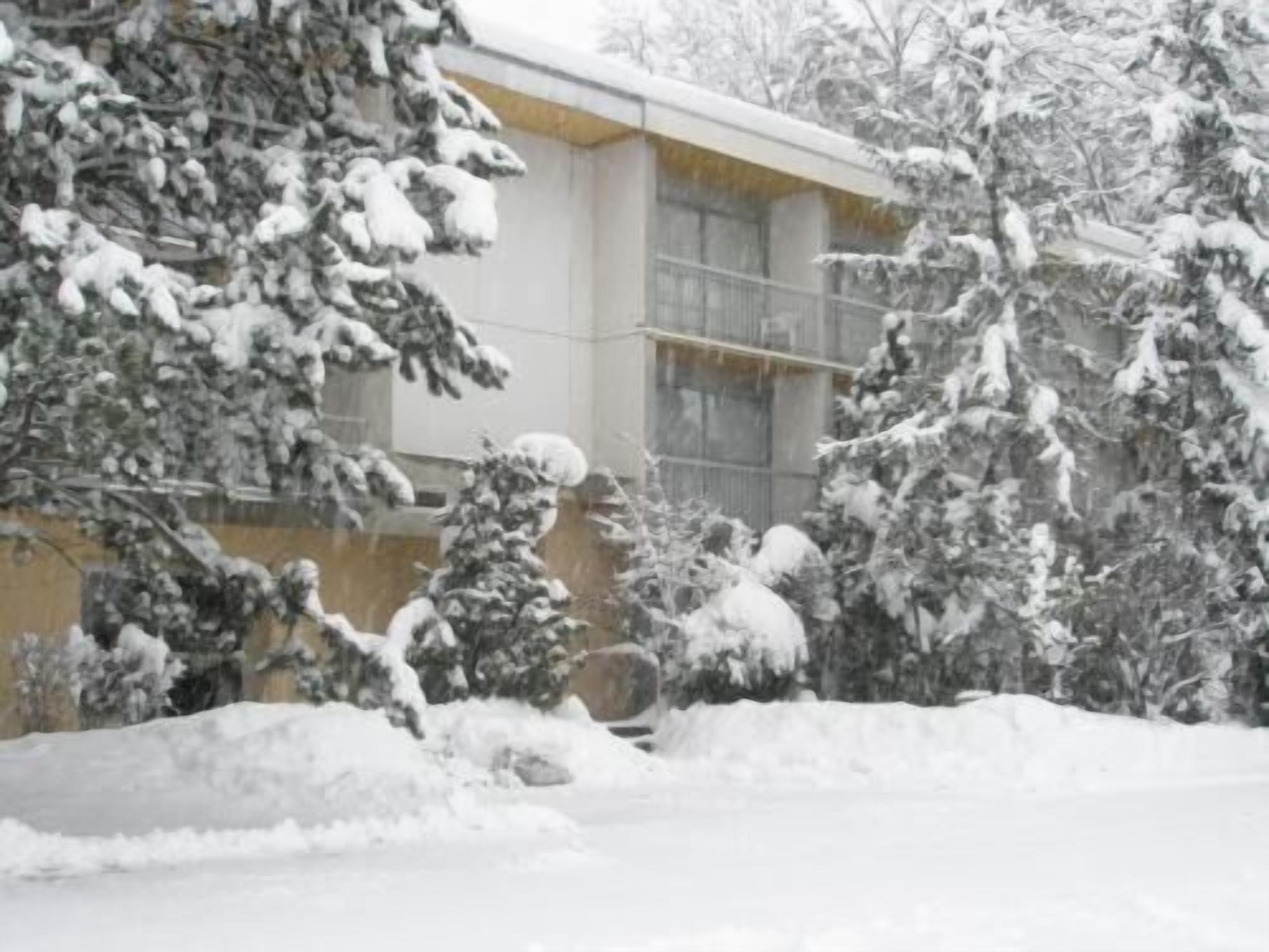 Een gebouw met een met sneeuw bedekte dak en omliggende bomen.