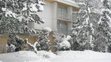 Een gebouw met een met sneeuw bedekte dak en omliggende bomen.