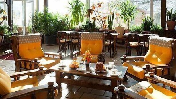 A sunlit room with wooden furniture and large windows, featuring a variety of plants and a central table. - Hôtel Le Carina (Gap)