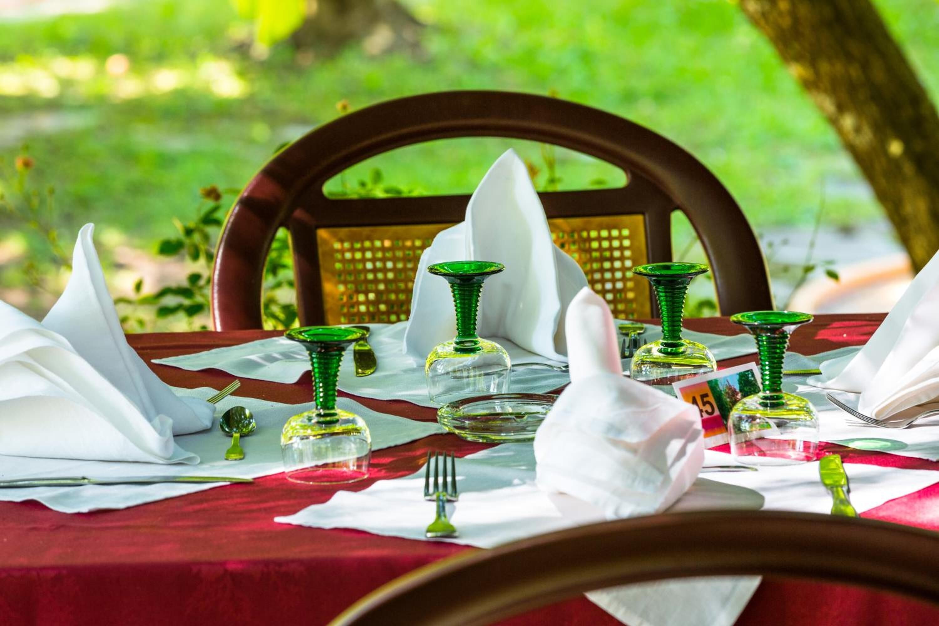 Mesa al aire libre con vajilla verde de vidrio y servilletas blancas, rodeada por una silla de madera y un mantel rojo.