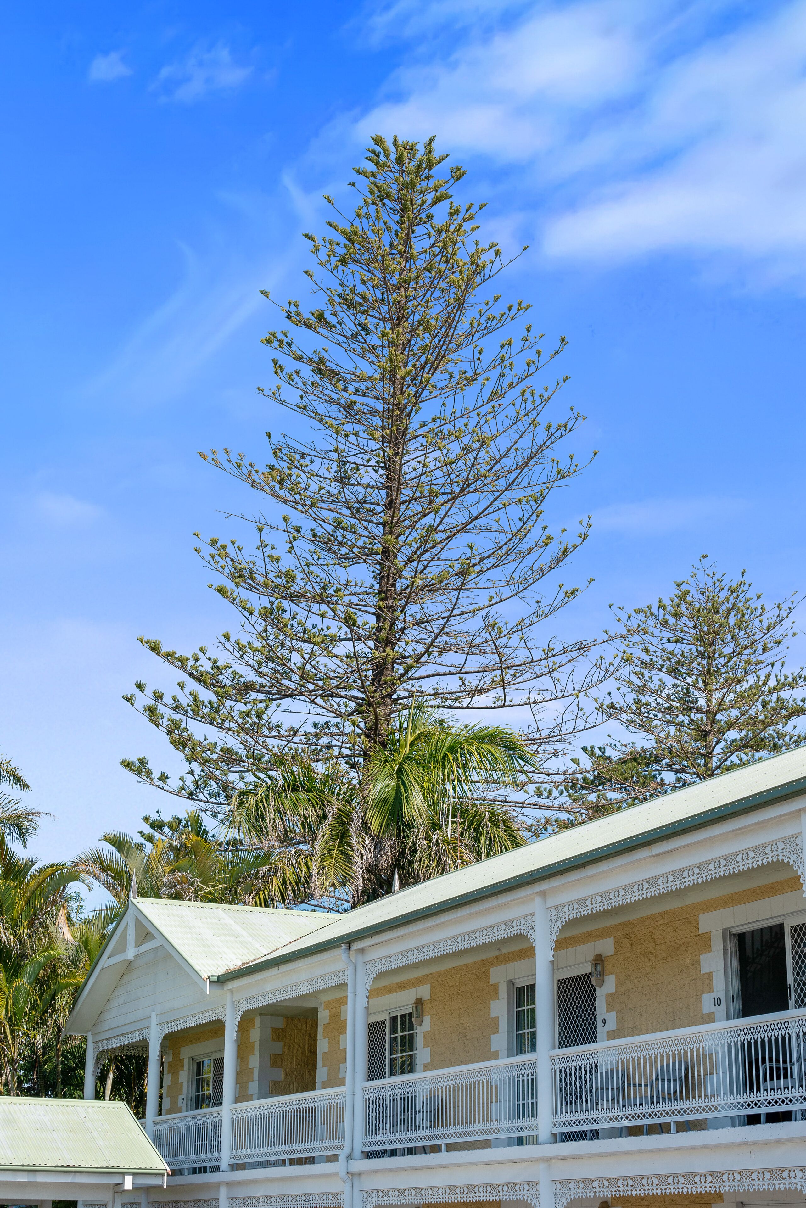 A two-story building with a balcony and a large tree in front.
