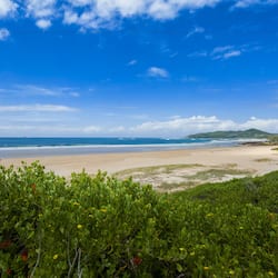 Beach nearby, white sand