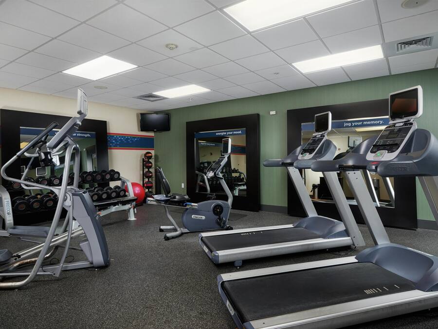 Une salle de sport équipée de tapis de course, d’appareils de musculation et d’haltères.