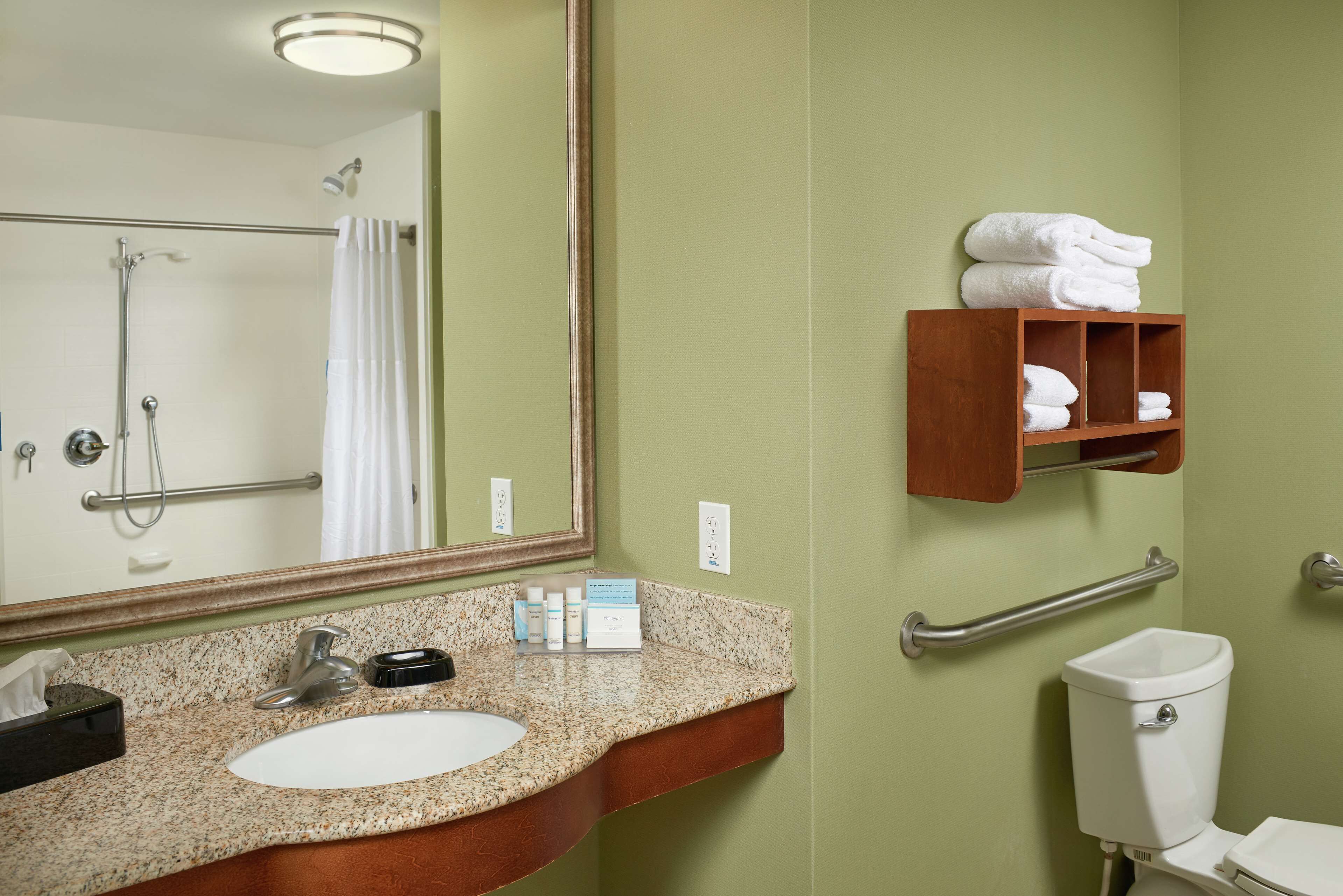 room, 1 king bed, accessible, non smoking | bathroom shower