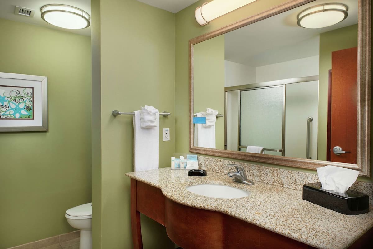 Bathroom | Hair dryer, towels