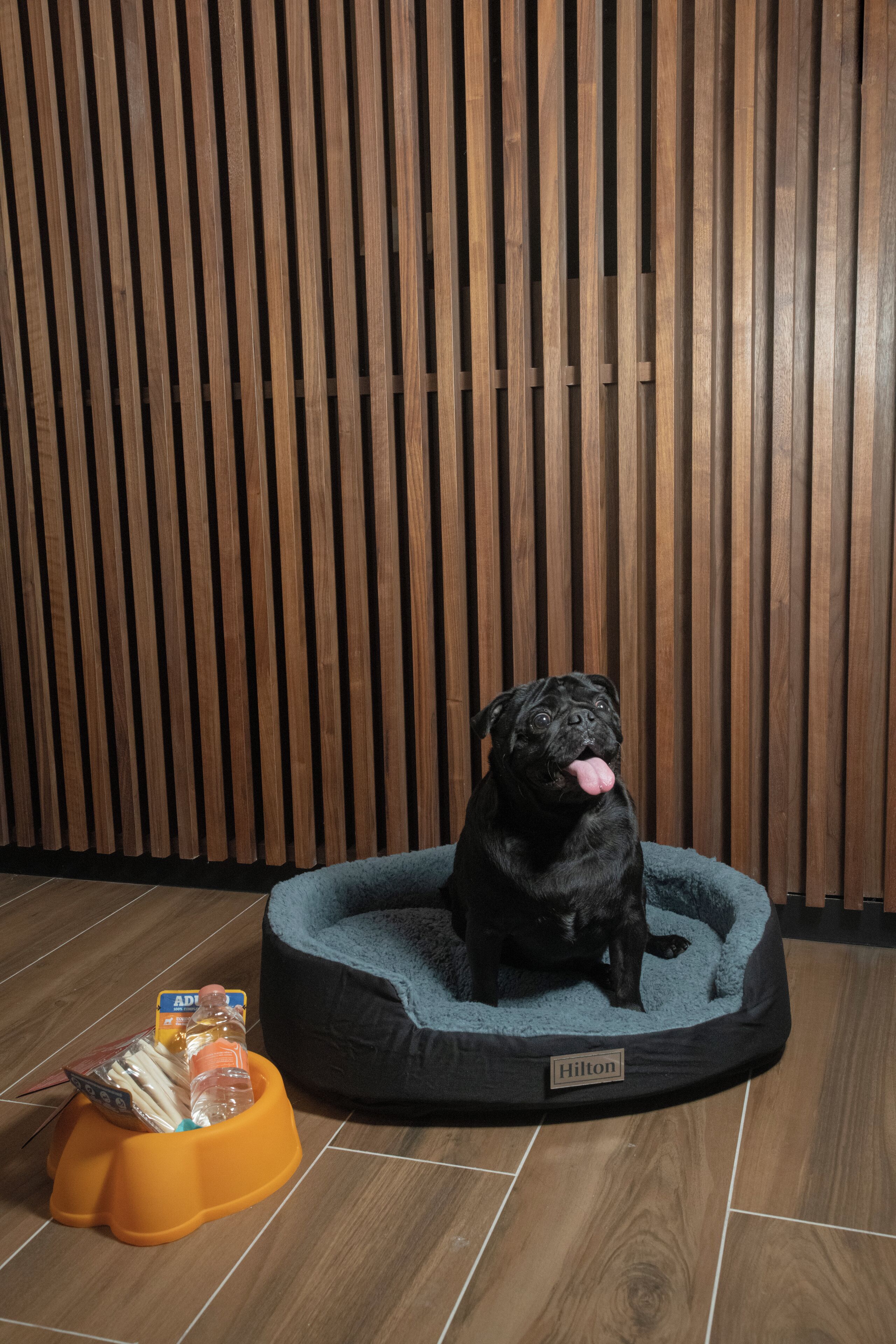 Foto - Hilton Queretaro