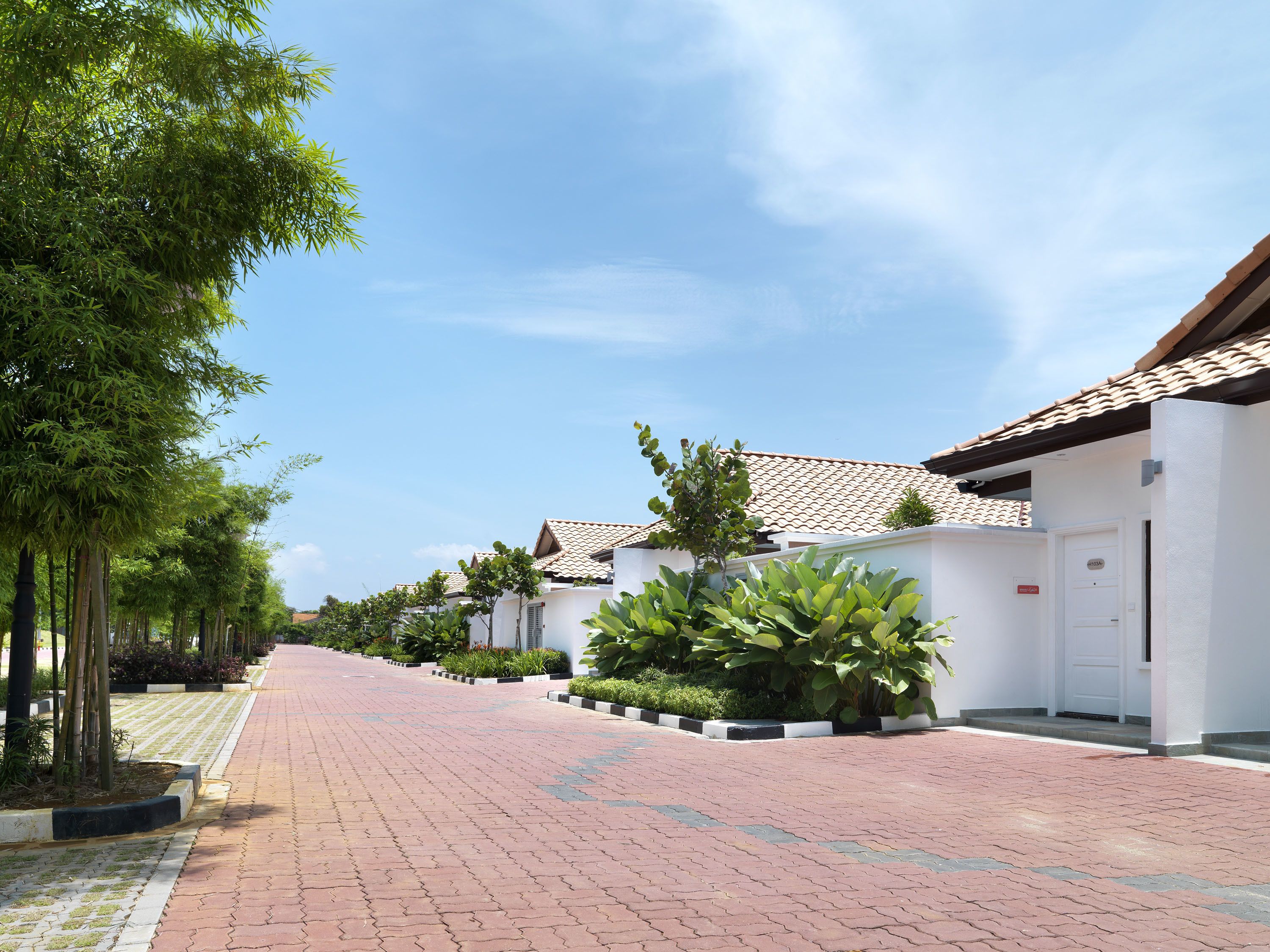 A paved pathway lined with trees and buildings with tiled roofs.