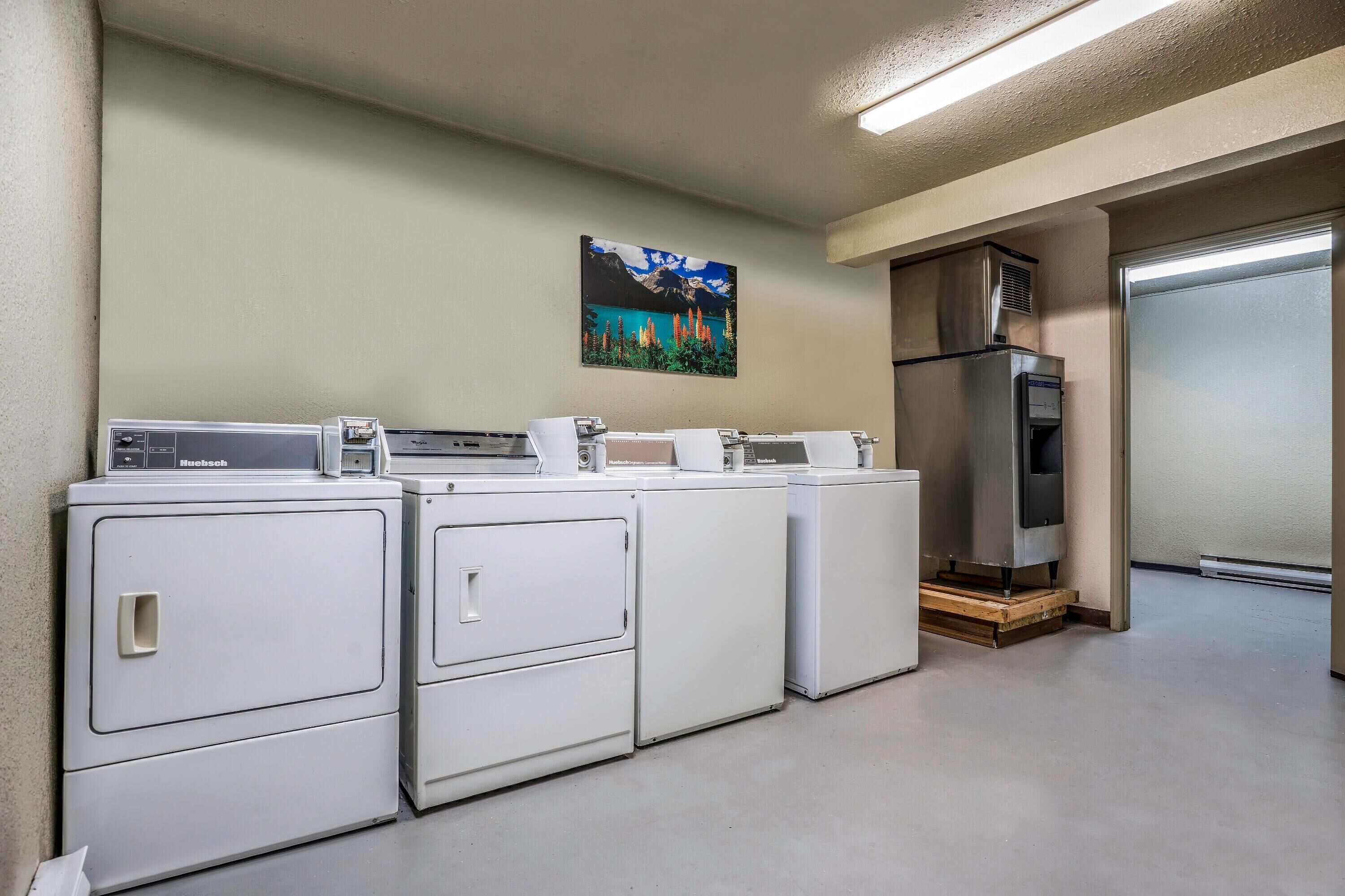 A laundry area with a row of white appliances, including a dryer, washer, and iron, with a picture of mountains and flowers on the wall.