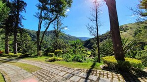 Un jardín ajardinado con senderos de piedra, arbustos diversos y árboles altos.