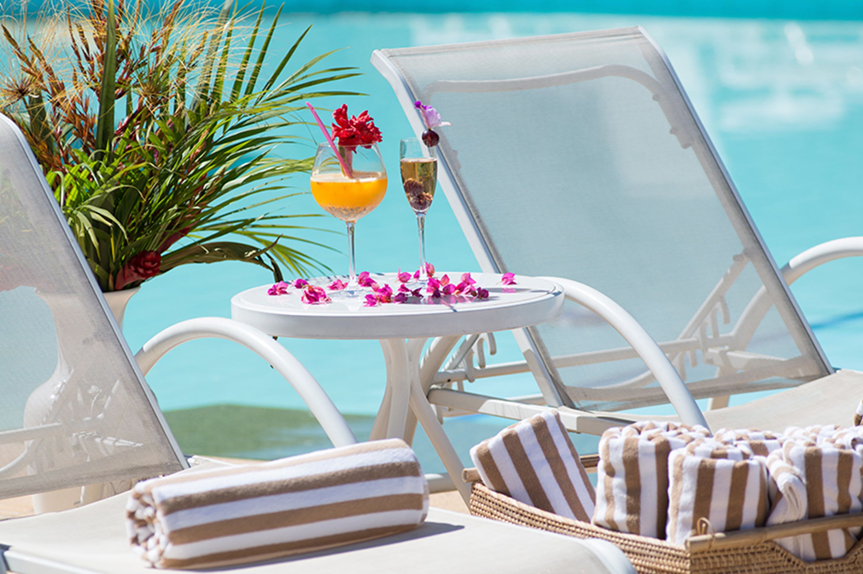 A poolside lounge area with sun loungers, a small table with drinks and flowers, and a tropical plant.