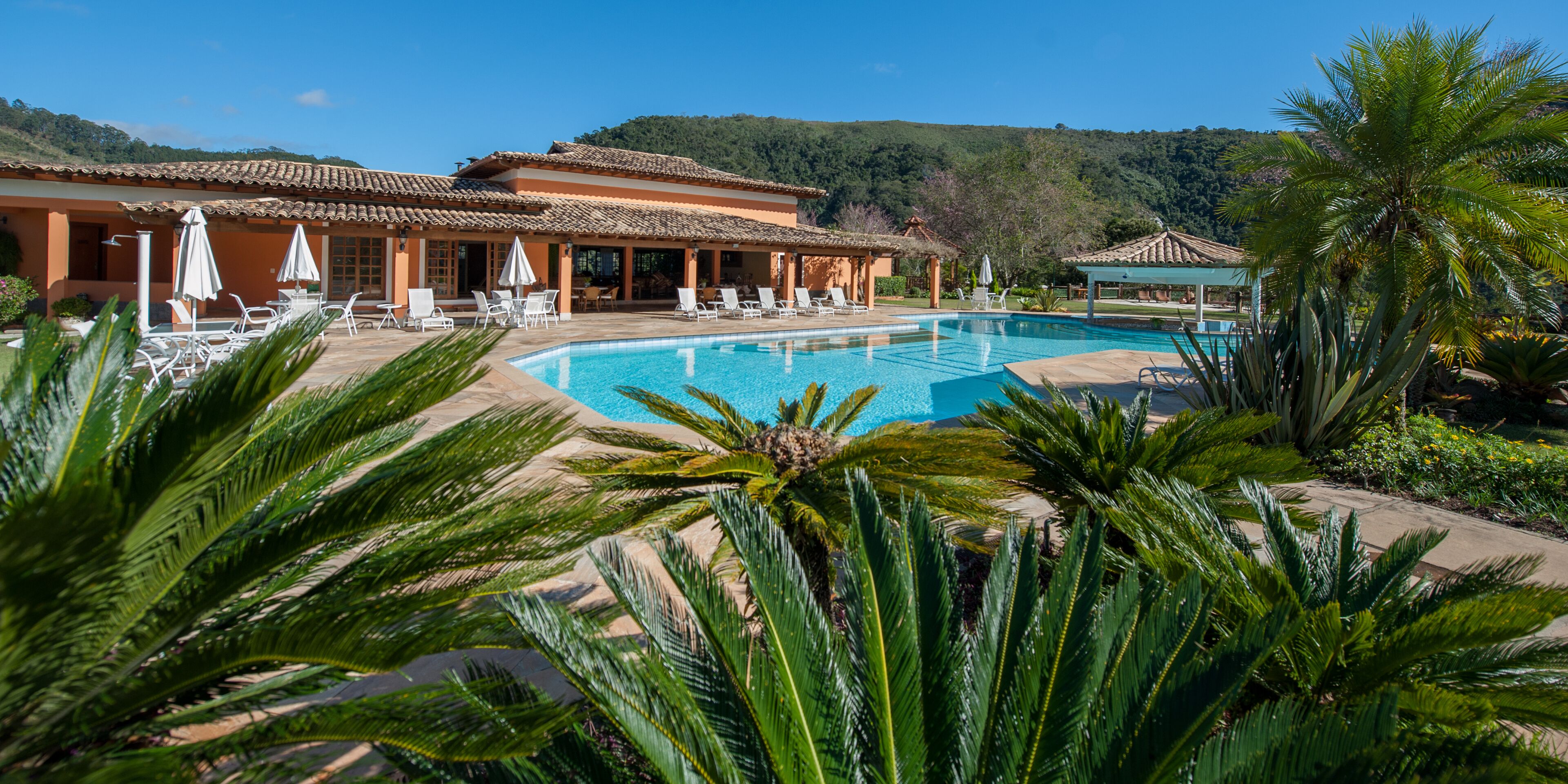 Una piscina al aire libre, sombrillas, sillones reclinables de piscina