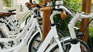 A row of white bicycles with brown leather saddles and handlebars, parked under a wooden structure with a view of greenery and buildings in the background.