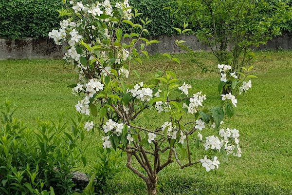 Dış mekân detayı