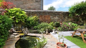 A garden with a pond, stone wall, and a wooden bench. - Lauderville Guest House (Edinburgh)