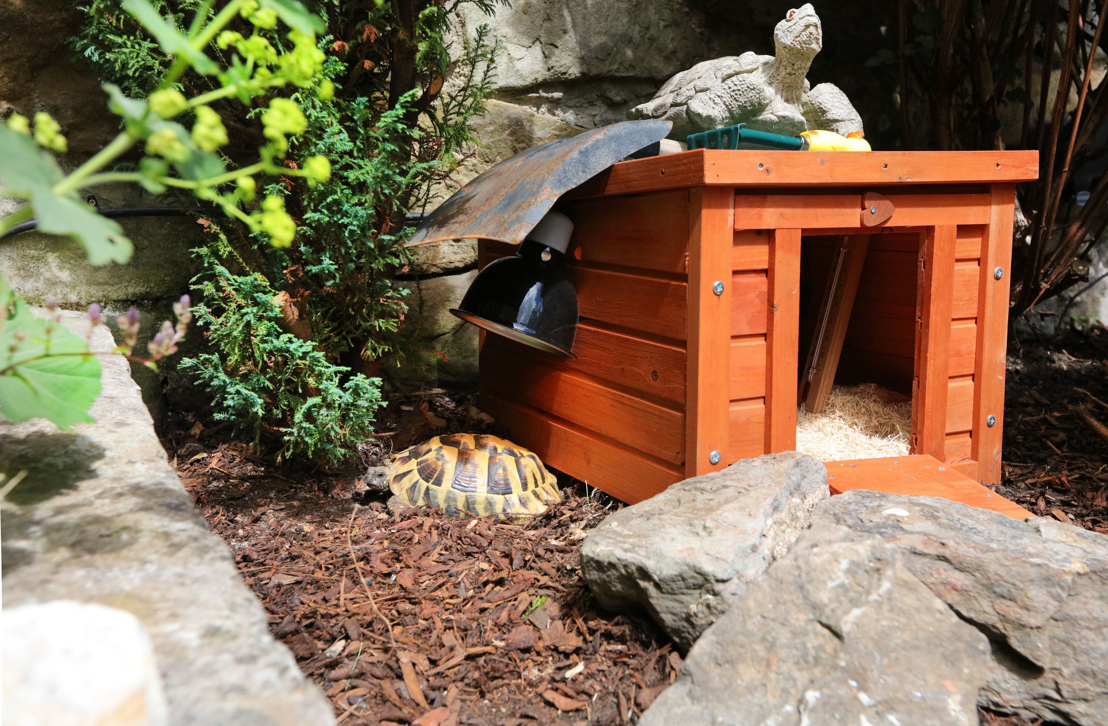 Photo - Lauderville guest house