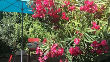 Jardín