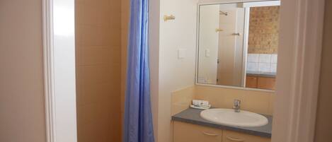 Une salle de bain avec une douche, un lavabo et un miroir.