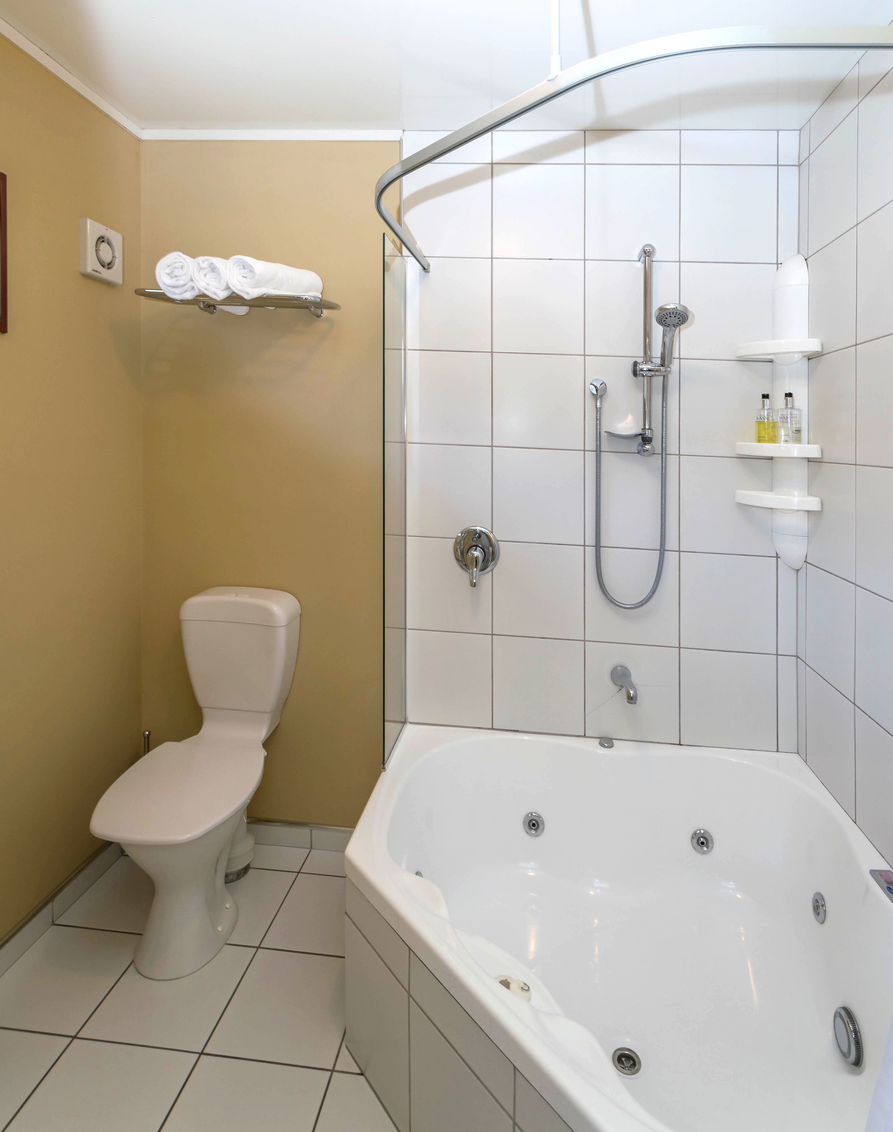 Free toiletries, hair dryer, towels