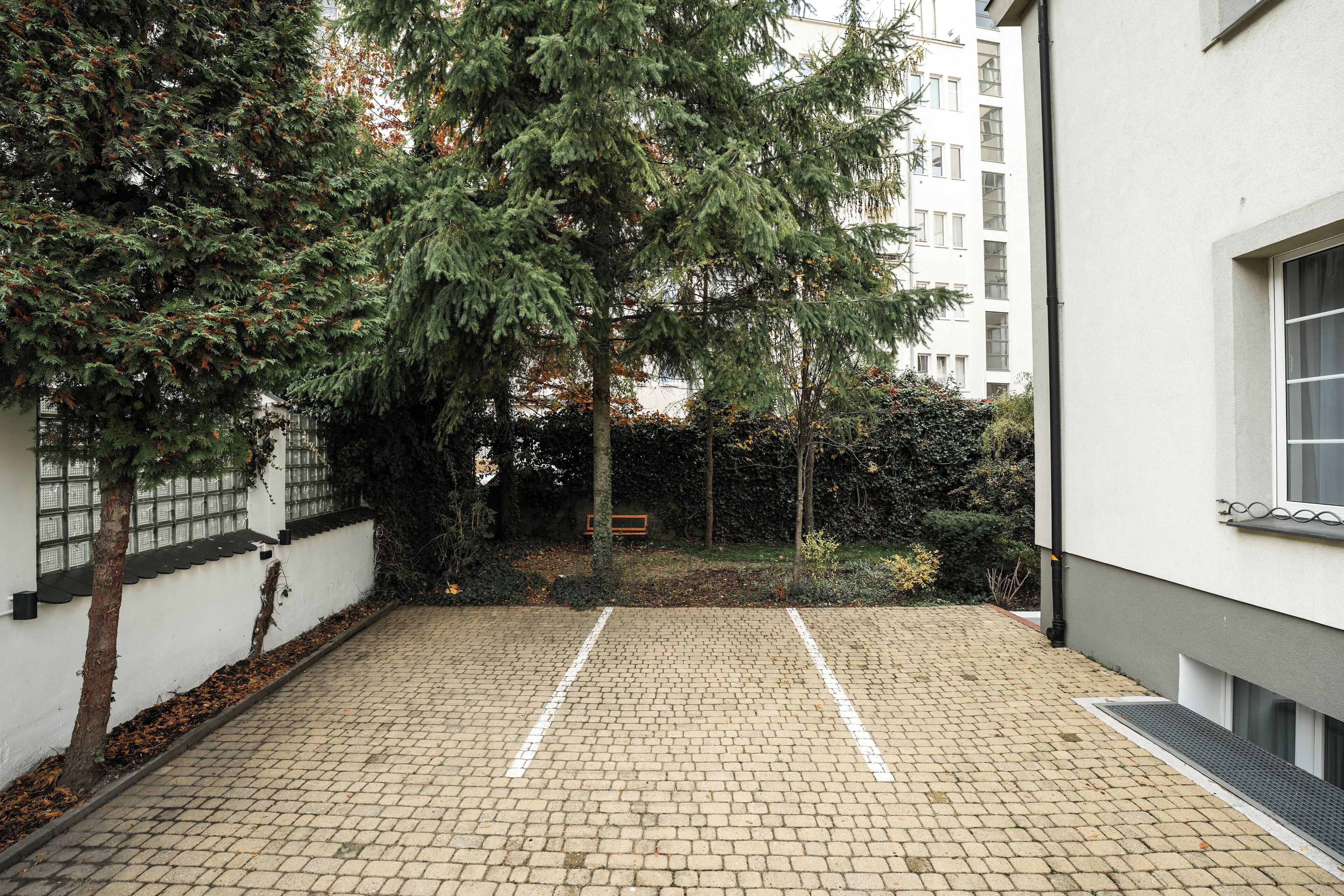 A paved courtyard with a tree, a bench, and a building in the background.