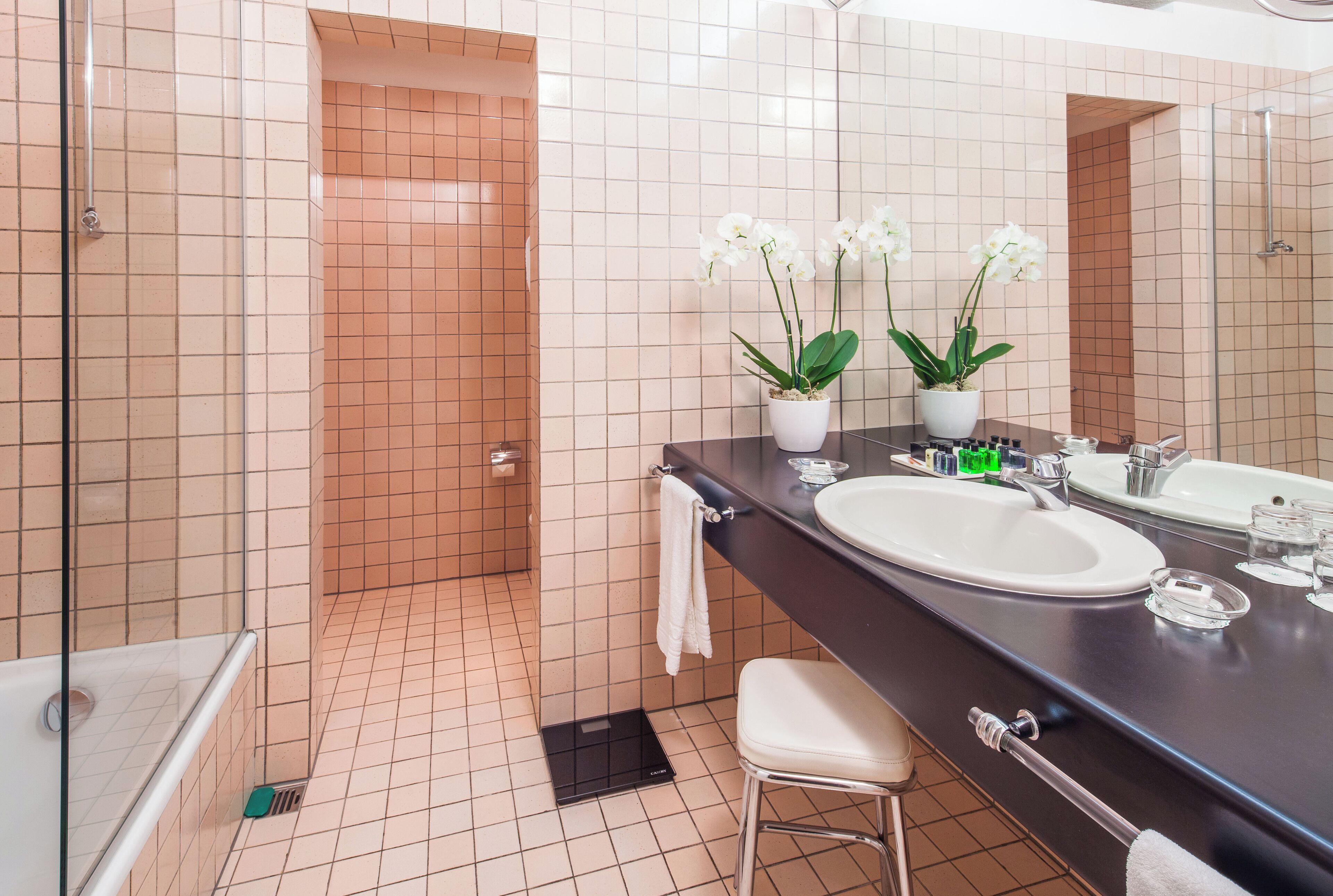 combined shower/bathtub, free toiletries, hair dryer, bathrobes