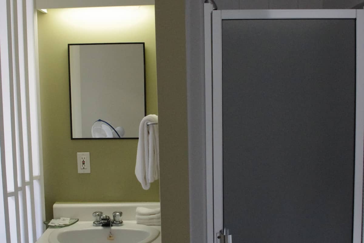 Tweepersoonskamer, gedeelde badkamer (Shower in Room) | Badkamervoorzieningen | Gratis toiletartikelen, handdoeken