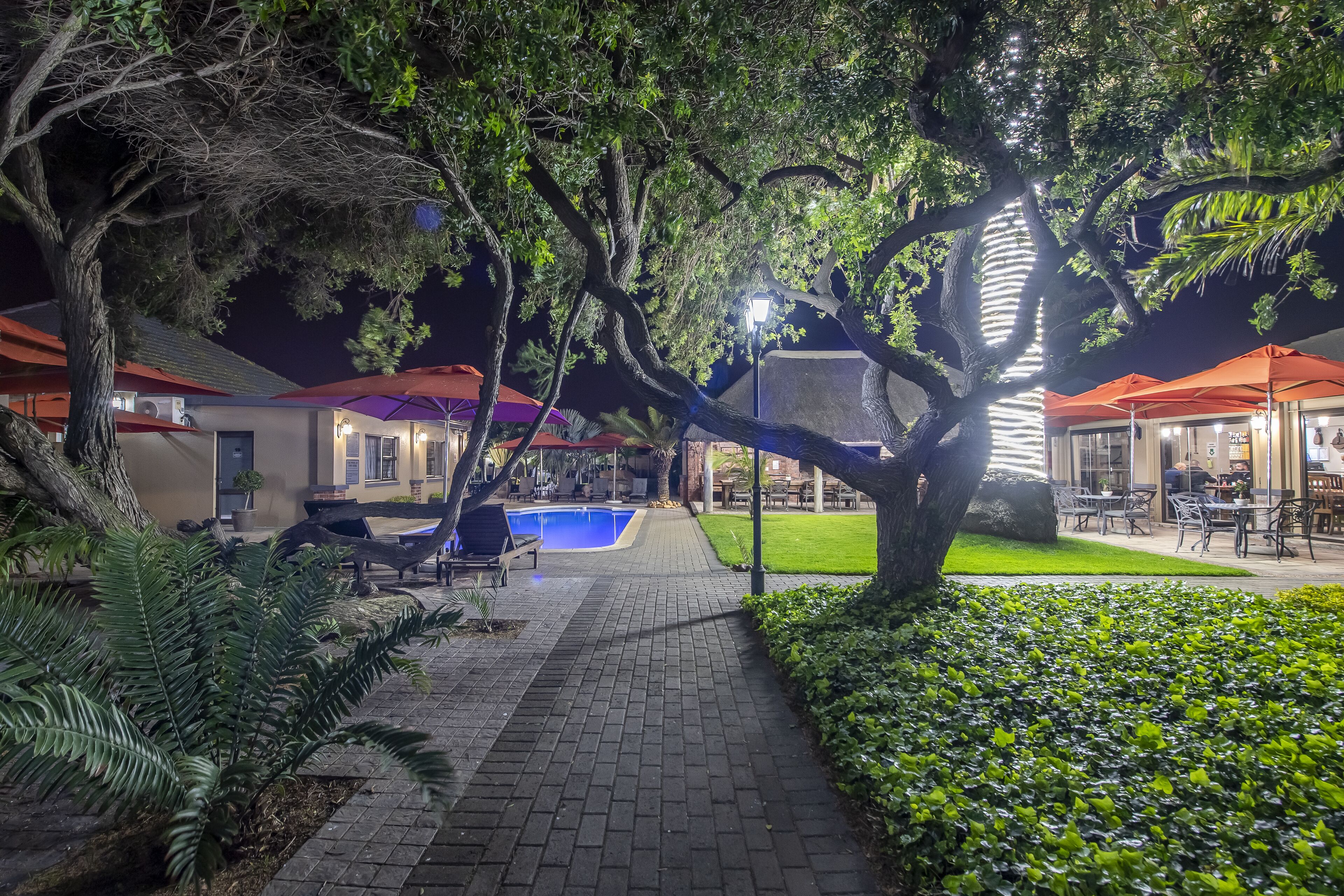 A well-lit outdoor area with a swimming pool, seating, and a pathway lined with trees and shrubs.