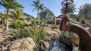 A water feature with a central spout and a wheel mechanism, surrounded by rocks and tropical plants. - Excellent Guest House (Cape Town)