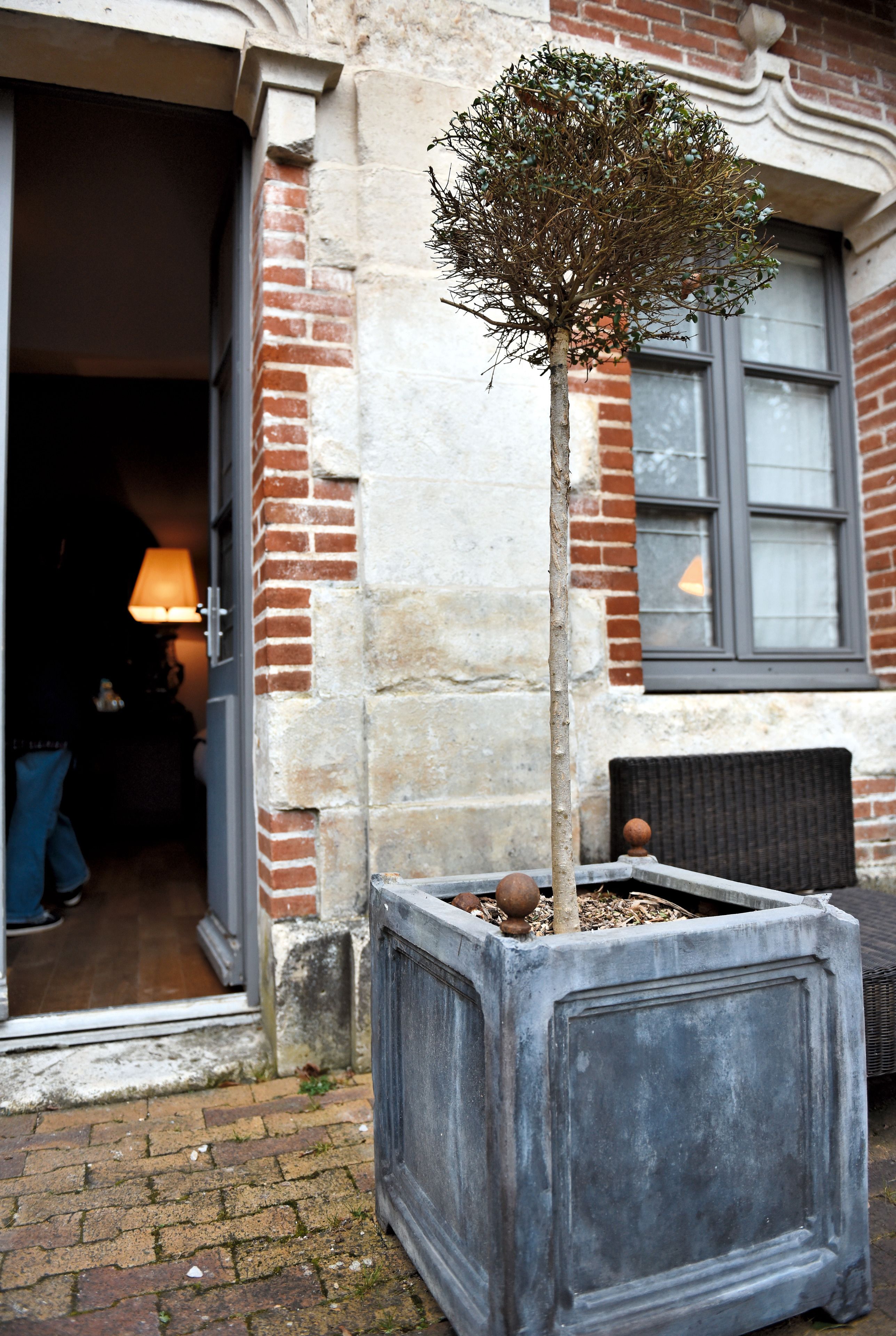 double room, annex building (orangerie) | terrace/patio